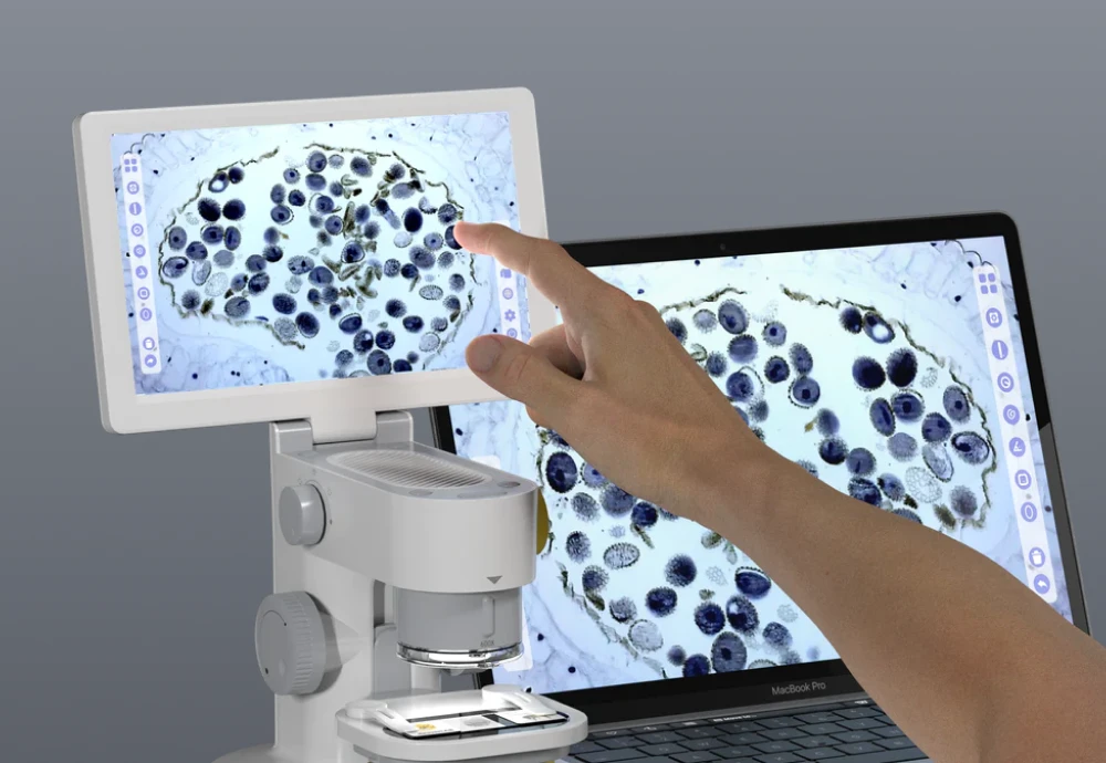 digital microscope education